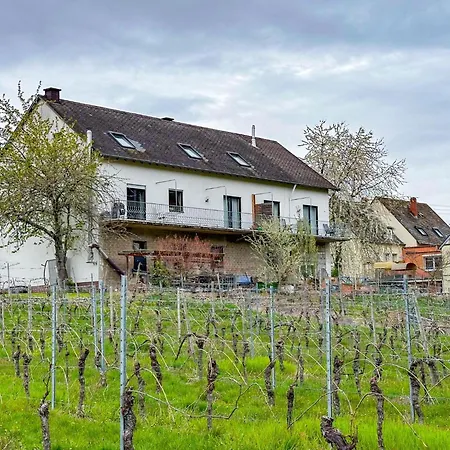 Weingut Hermes-lex Trittenheim