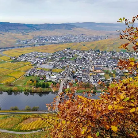 Weingut Hermes-lex