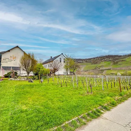 Apartment Weingut Hermes-lex